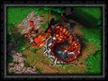 Wow cataclysm, wow patch 3.3 0.11159, wow 3.3 5 хант